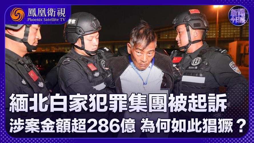 缅北白家犯罪集团主案一审开庭审理