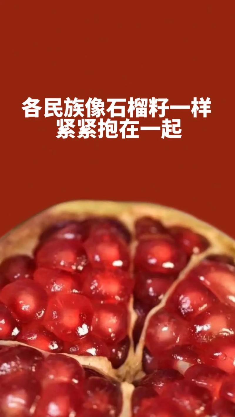 像石榴籽一样紧紧抱在一起
