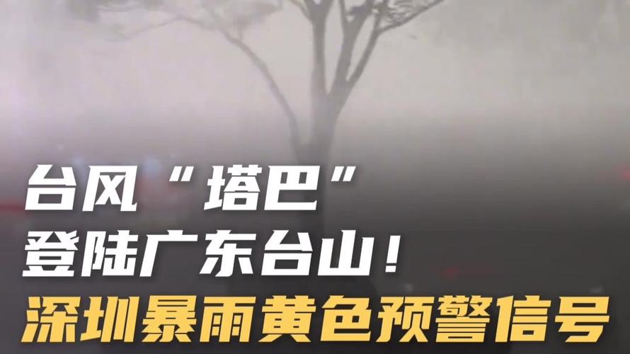 深圳台风预警信号升级为黄色