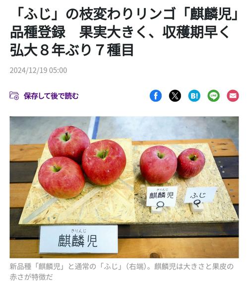 日本“苹果病”流行达历史顶点