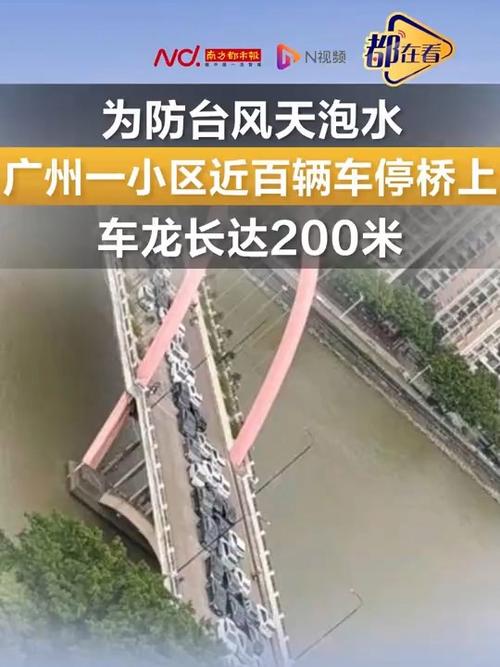 台风来袭，小区车辆紧急转移至大桥避险