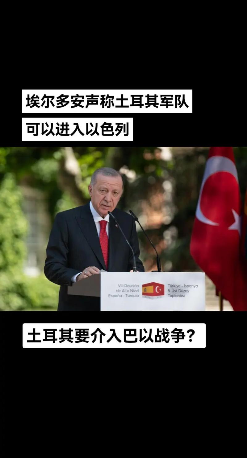 埃尔多安联合国演讲遭限时关麦