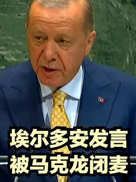 埃尔多安联合国演讲遭限时关麦风波