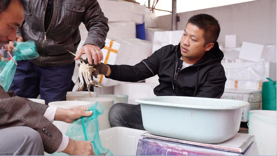 验蟹师年收入10万至30万元