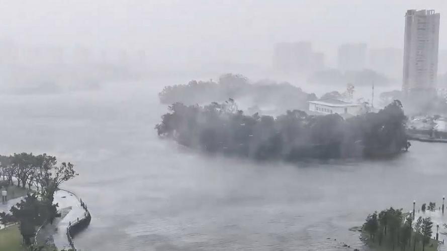 桦加沙袭击阳江，湖面翻腾树木狂舞灾难现场
