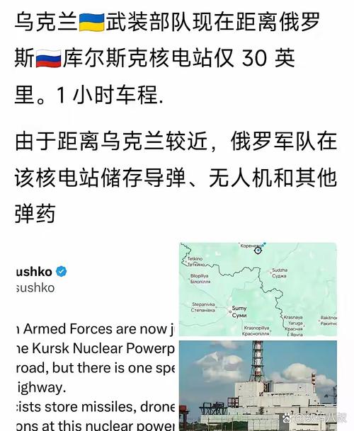 俄称乌试图袭击库尔斯克核电站