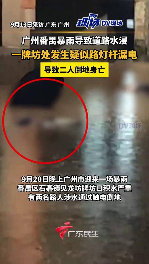 广州番禺石楼镇水浸谣言揭秘，真相究竟如何？
