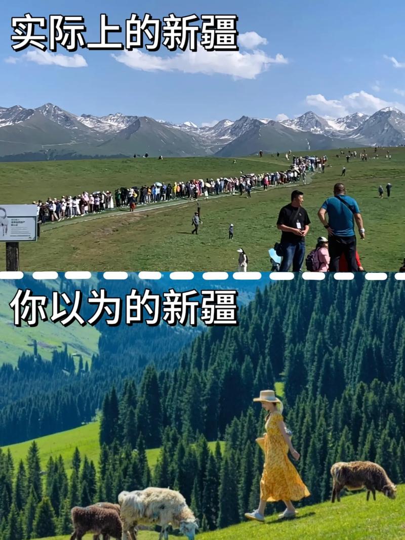 这是我们的新疆！