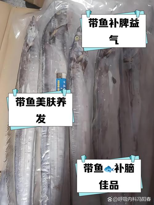 “国民廉价鱼”带鱼原来一直被低估
