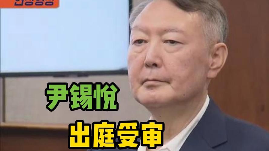 尹锡悦自述理由申请保释，揭秘背后的真相