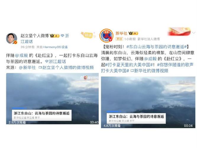 赵立坚点赞湖北文旅花式整活