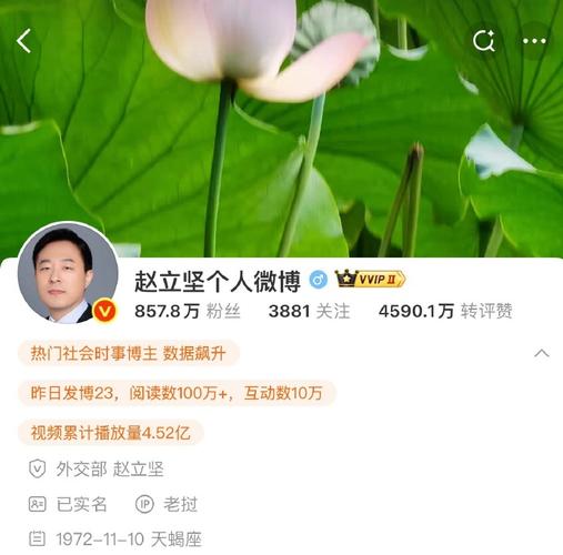 赵立坚点赞湖北文旅创新营销花式整活