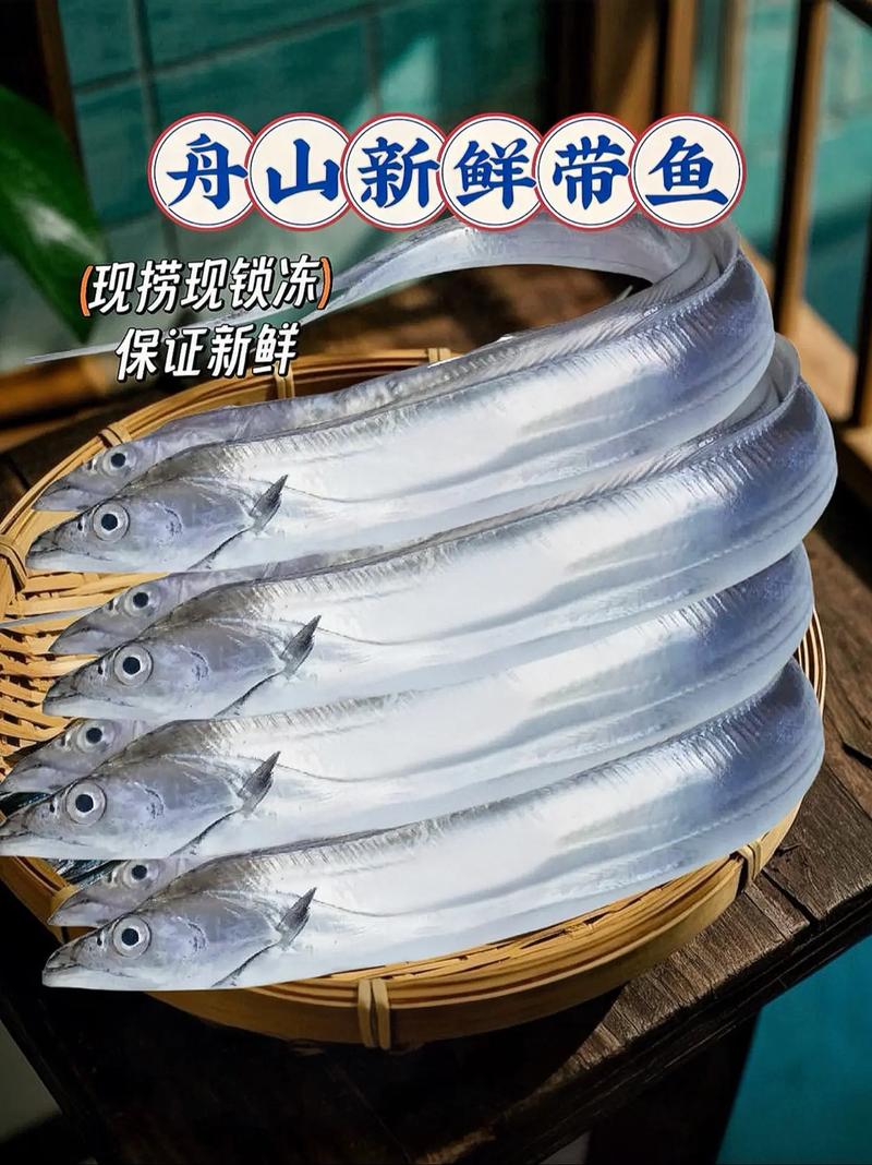 “国民廉价鱼”带鱼原来一直被低估