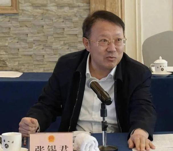 青岛落马厅官张锡君贪超3亿获死缓
