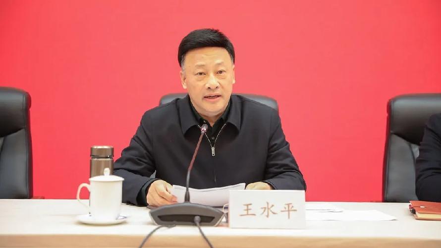 王水平严重违纪违法被开除党籍和公职
