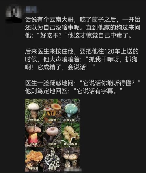 女子称婆婆吃邻居送的蘑菇中毒去世