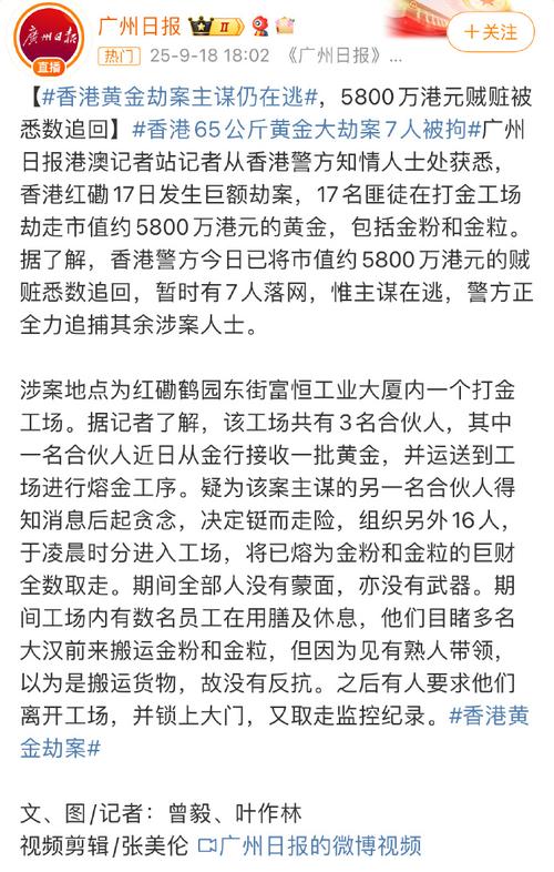 两内地男子在香港劫走537万港元名表