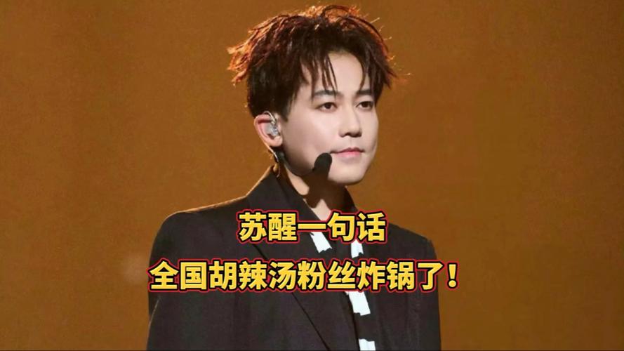 胡辣汤协会回应苏醒拉踩河南胡辣汤