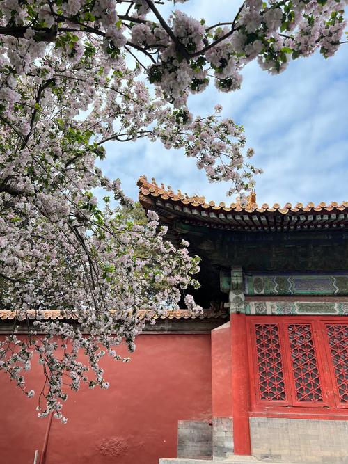 故宫乾隆花园重开，高清美景抢鲜看