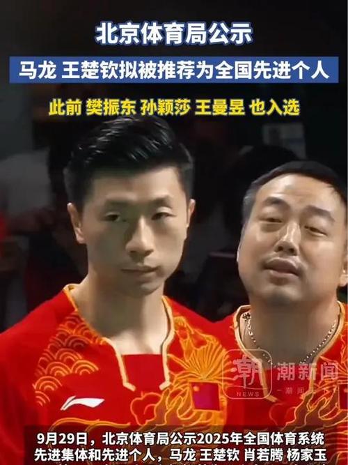 马龙王楚钦荣获先进个人称号