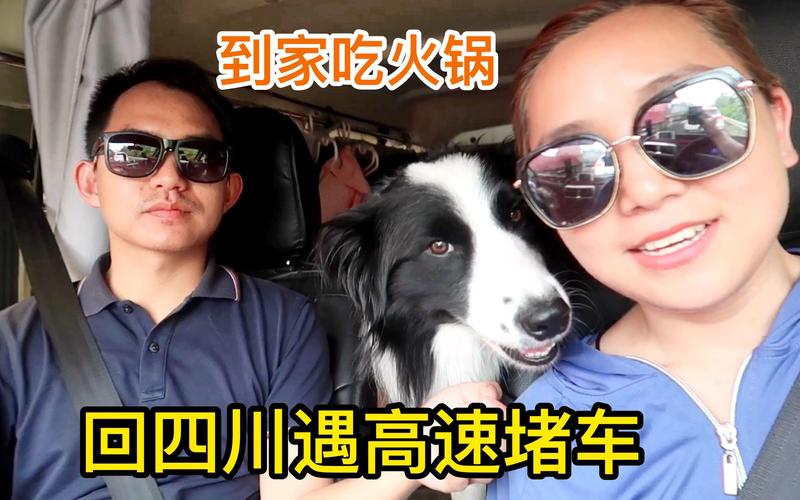 高速堵车 外国美女被投喂火锅