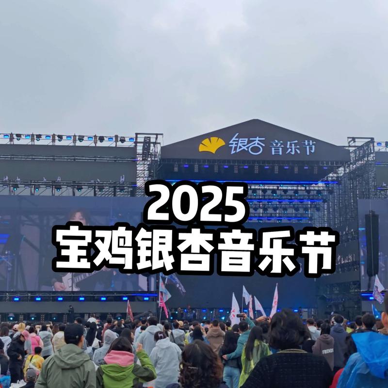 宝鸡一音乐节场外百余帐篷通宵夜排
