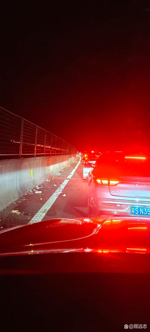 高速堵车原因竟是路面撒满活鱼