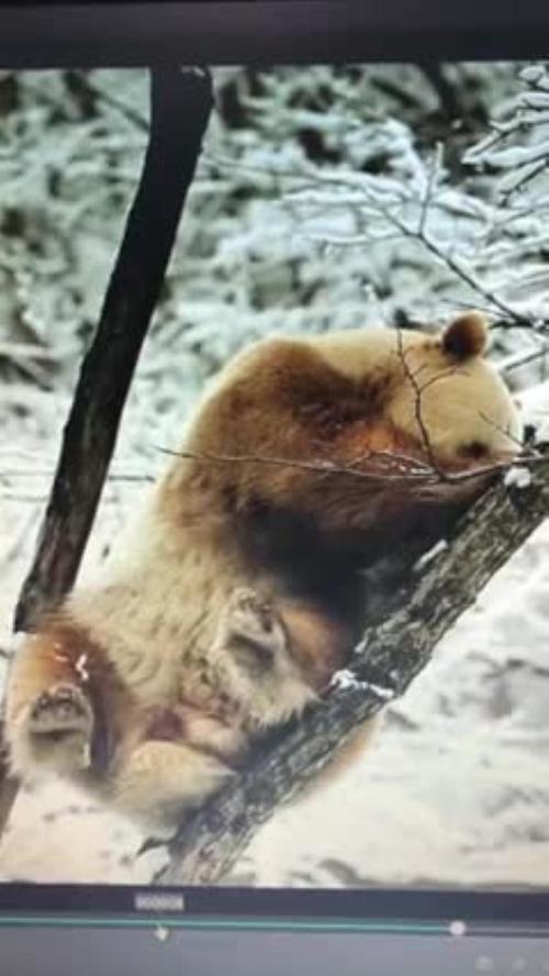 被秋老虎“硬控”了
