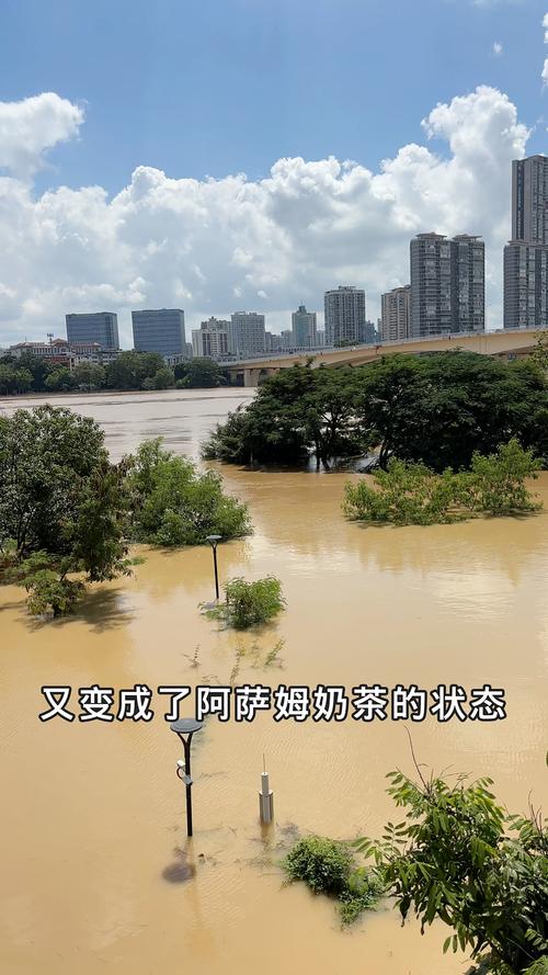 南宁邕江水位上涨 江面与路面持平