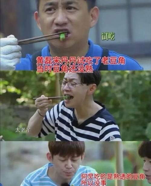 黄磊回应食物中毒争议，未熟豆角事件揭秘