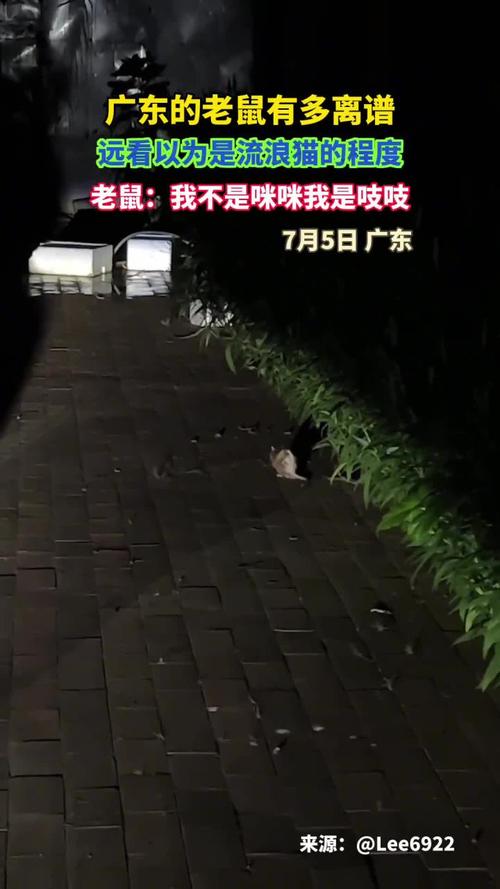 广州市民家中惊现鼠条事件！