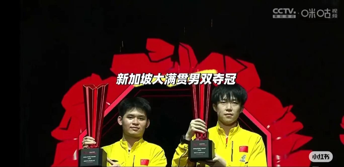 王楚钦林诗栋男双夺冠