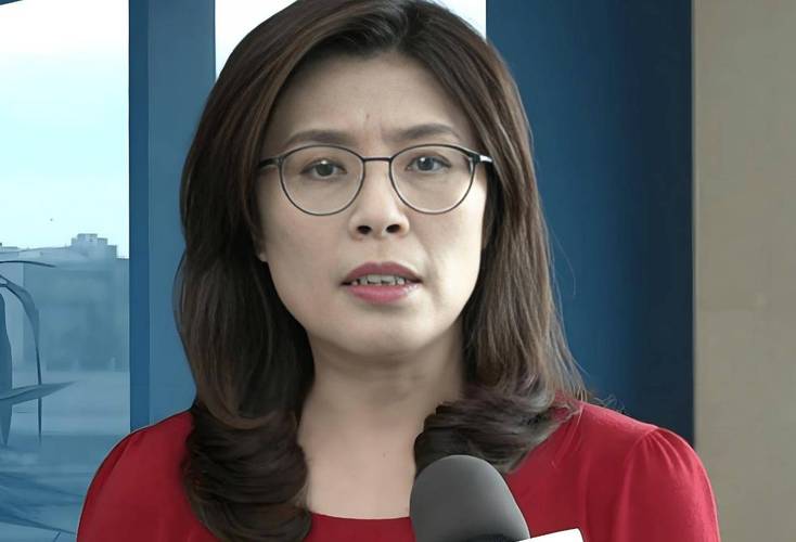 郑丽文：绿营也担心我当选国民党
