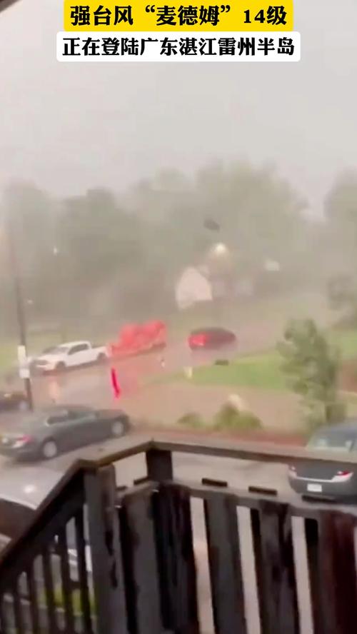 麦德姆登陆引发狂风暴雨，树木剧烈摇动警报拉响