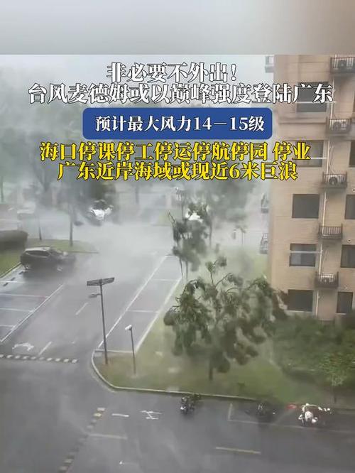 台风麦德姆登陆广东，最大风力达14级警报发布