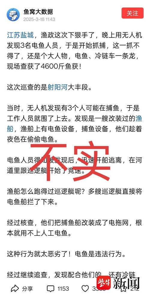 台风把鲸鱼吹上岸谣言揭秘，真相揭秘与应对之道