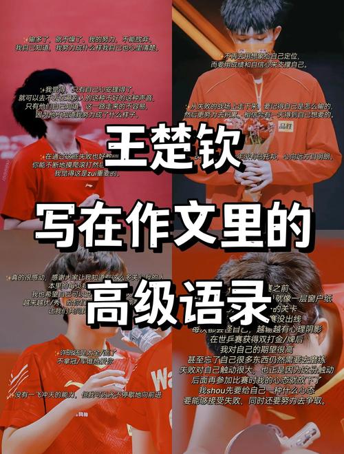 王楚钦坦言大满贯激发自己潜力