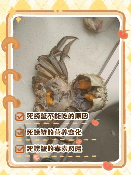 刚死不久的螃蟹能否食用？