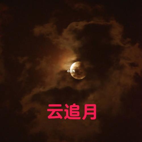 颐和园上演“彩云追月”