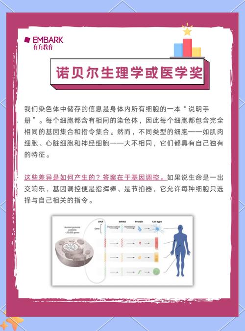 揭秘，2025年诺贝尔生理学或医学奖揭晓