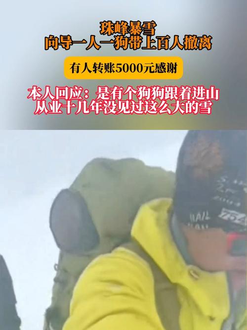 珠峰暴雪 向导一人一狗带上百人撤离