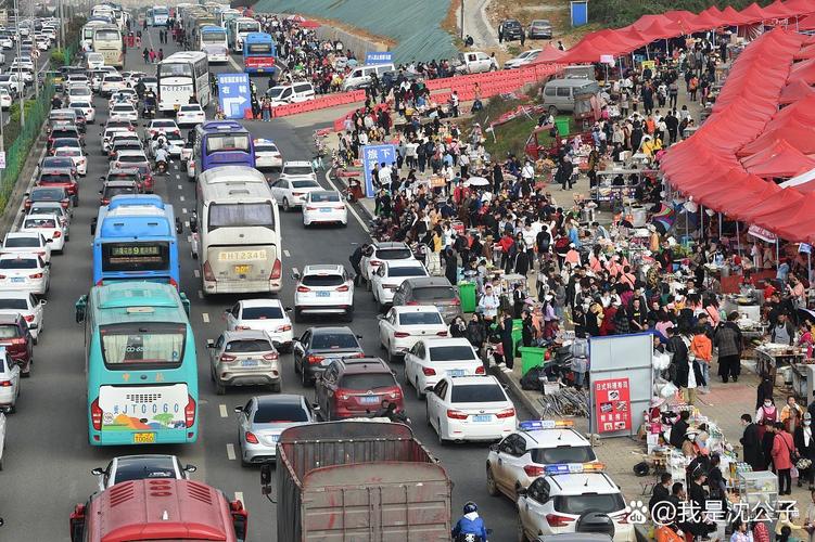 中国人放假 东非大草原都堵车了