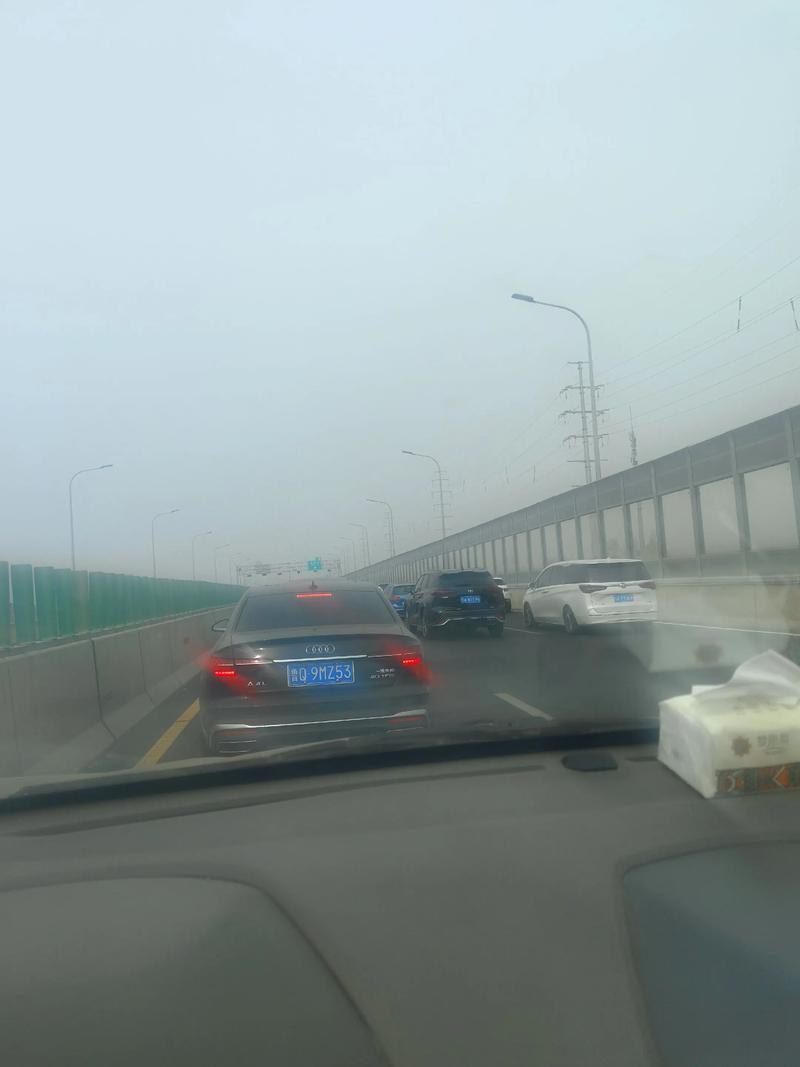 中国人放假 东非大草原都堵车了