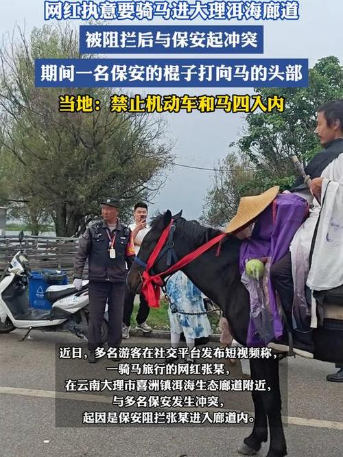 男子骑马在大理洱海与保安起冲突