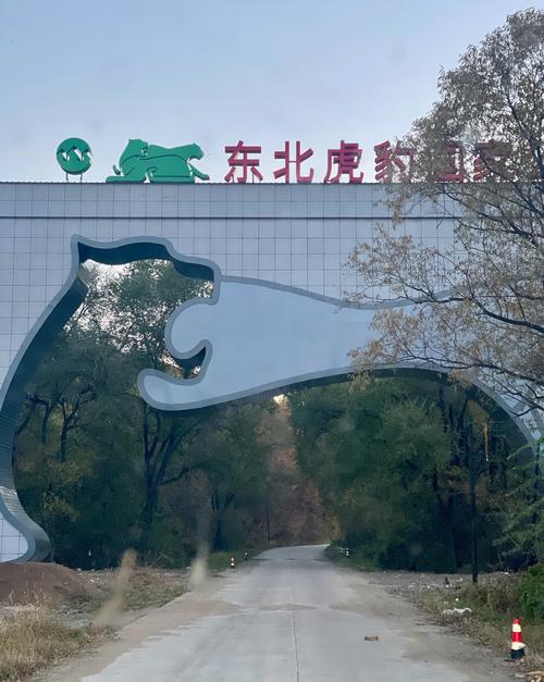 贵州金沙路边有老虎出没系谣言