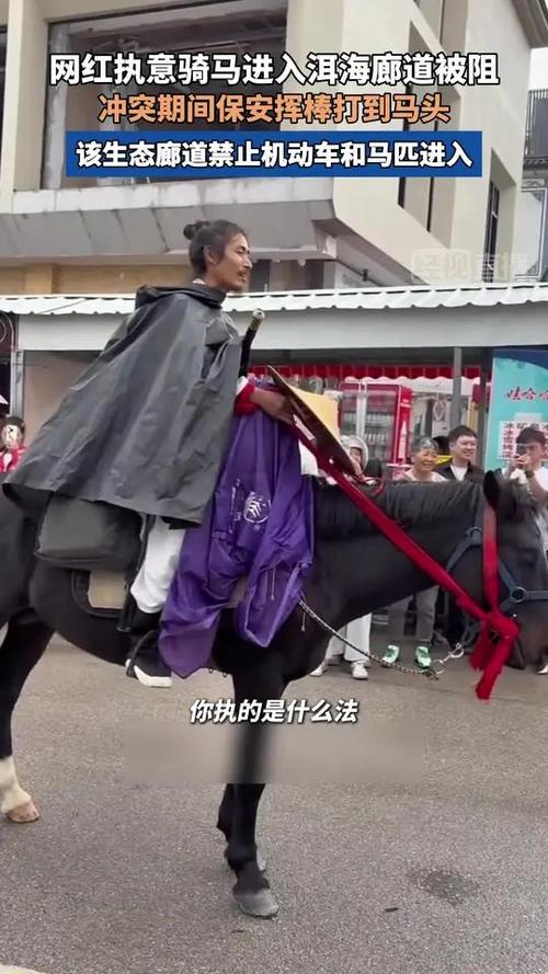 男子洱海骑马引发冲突事件