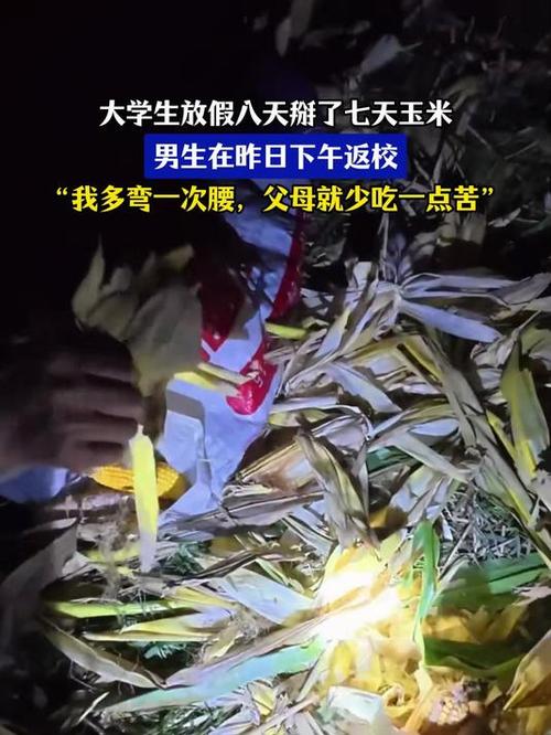 大学生国庆8天假掰了7天半玉米
