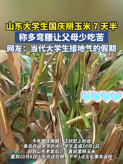 大学生国庆8天假掰了7天半玉米