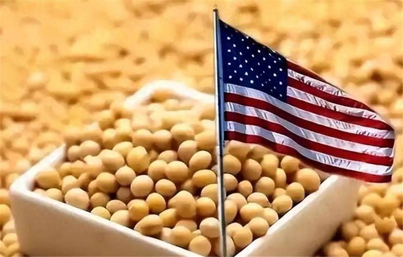 中国近半年未购美国一粒大豆标题，美国大豆在中国市场遭遇冷冻期