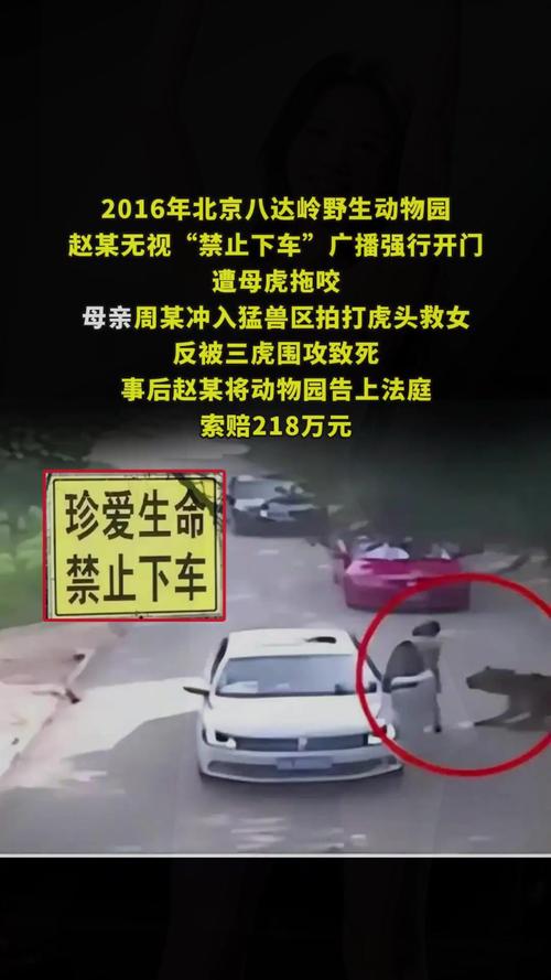 观光车压碎老虎下巴?动物园回应